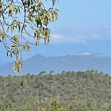 Nyaraló Merla *